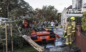 Lamborghini Murcielago Owner Uproots Tree while Trying to Sell His Car