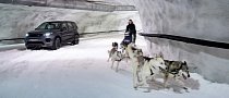 Land Rover Discovery Sport Races Dogsled Champion in Finland