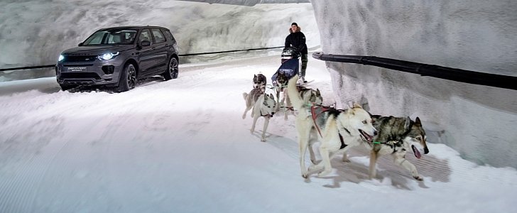 Land Rover Discovery Sport vs. dogsled champion