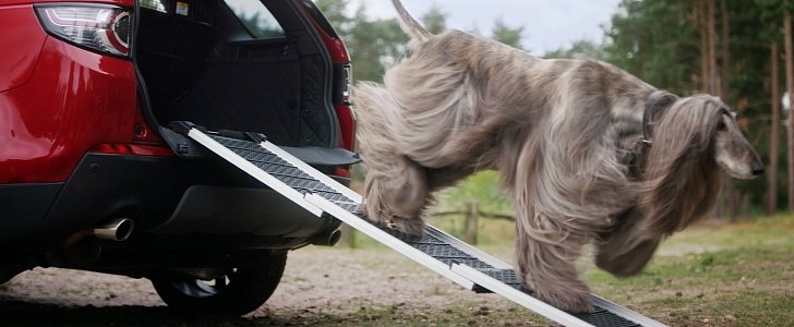 Foldable access ramp from Land Rover's Pet Pack