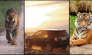 Land Rover Supports Indian Tiger Conservation with SUV Donation