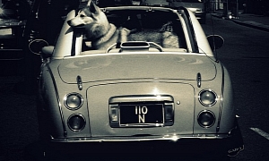 Landaulet Cars, for the Love of Dogs