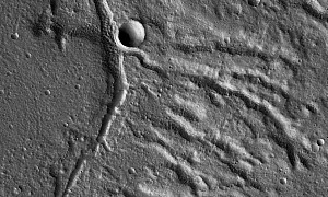 Largest Volcano on Mars Shows Vein-Like Structure in Photo Taken From Space