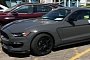 Lead Foot Gray Looks Smashing On 2018 Shelby GT350 Mustang