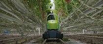 Leaf-Cutting Autonomous Robot Can Operate 24/7, Promises Over 85 Percent Accuracy