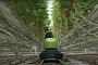 Leaf-Cutting Autonomous Robot Can Operate 24/7, Promises Over 85 Percent Accuracy