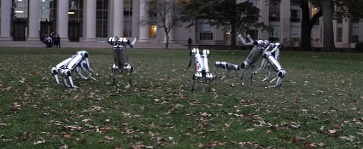 Leaping Mini Cheetah from MIT Yet Another Watershed Moment in Robotic Horror