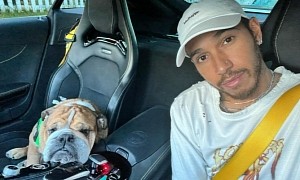 Lewis Hamilton's Cutest Passenger in His Mercedes-AMG GT R: His Dog, Roscoe