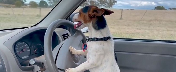 Lexie has learned to drive, helps out her "best mate" on a farm in Australia