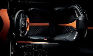 Lexus RC F Comes with Unique Orange Leather in Japan