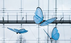 Lightweight Swarm of RC Butterflies Are so Real You Can't Make the Difference – Video