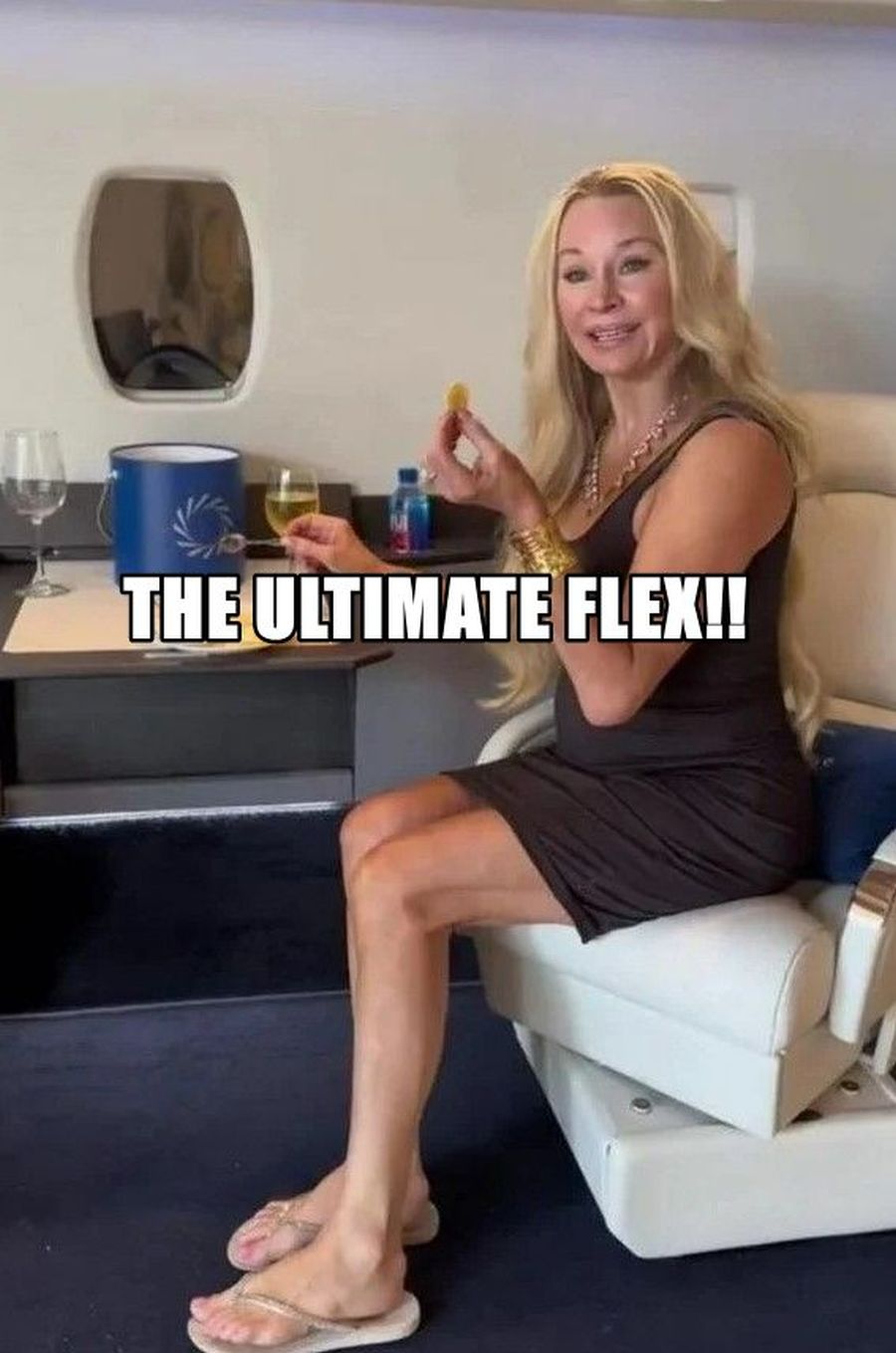 LOL: Frequent Flier Queen of Versailles Sets Up a Private Jet Cabin Inside Her Living Room