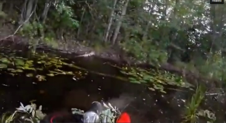 Lolrider Crashes Silly into Pond