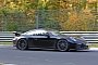 Look Mom, No Camo: 2017 Porsche 911 GT3 Facelift (991.2) Spied At the Green Hell