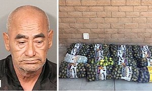 Los Angeles Driver Caught With 800 Pounds of Stolen Lemons in His Car