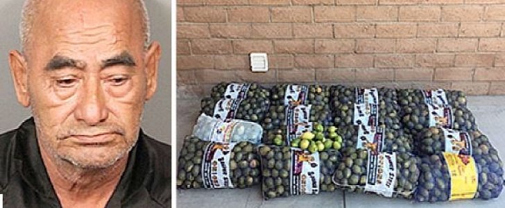 69-year-old Dionicio Fierros was caught with 800 pounds of stolen lemons in his car