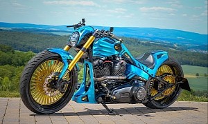 Love It or Hate It Harley-Davidson Ilektra Flashes Blue Flakes and Gold Plating