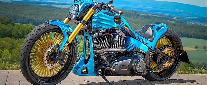 Love It or Hate It Harley-Davidson Ilektra Flashes Blue Flakes and Gold ...