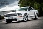 Low-Mile Performance White 2007 Shelby GT Features Refreshingly Affordable Price