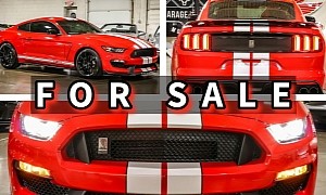 Low-Mileage Ford Mustang Shelby GT350 Demands New GT Money