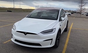 Loyal Tesla Customer Bought a Model X Plaid, the Nightmares Began After Accepting Delivery
