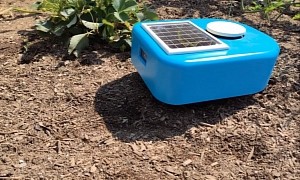 Machine Learning Bot Can Replace Your Gardener, It Plants and Weeds on Its Own