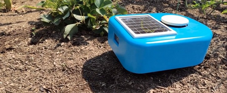 Sybil, smart garden robot with machine learning capabilities