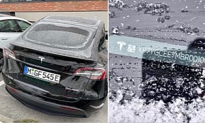 Made in Germany Tesla Model Y Spotted in Norway, Hides More Than a Few Surprises