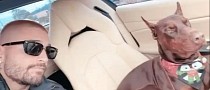 Maluma Displays Interior of His Ferrari 488 Spider, Has the Cutest Passenger, His Dog