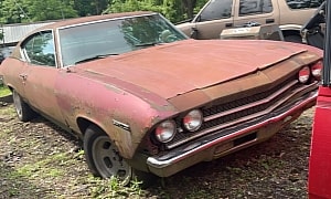 Man Bought a 1969 Chevelle From eBay 20 Years Ago, Never Touched It, Wife Now Selling It