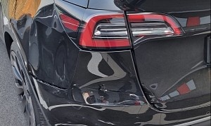 Man Buys 12th of 30 Tesla Model Ys From Berlin Gigafactory, Crashes Two Days Later