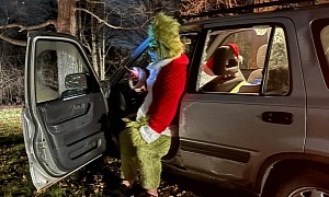 Man Dressed in Grinch Costume Crashes His Honda, Takes Down Road Sign and Mailbox
