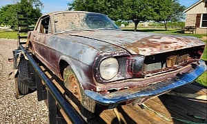 Man Finds a 1966 Mustang After Decades in Hiding, What Do You Think About the Engine?