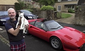 Man Is Trying To Review the Sports Car Fleet He Is Selling, Cat Keeps Videobombing Him