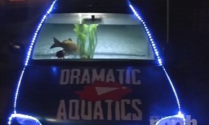 Man Turns Nissan Micra into an Actual Fish Tank