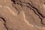 Mars’ Arabia Terra Is NASA’s Favorite Regions to Study, Has “Lovely Layers”