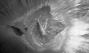 Martian Impact Crater Is a Fat Hummingbird’s Nest to the Right Eyes