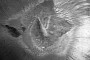 Martian Impact Crater Is a Fat Hummingbird’s Nest to the Right Eyes