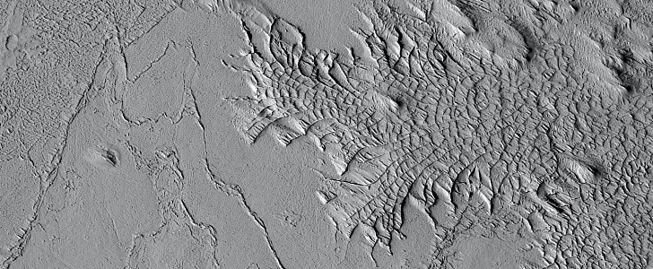Ridges in the Gordii Dorsum region of Mars
