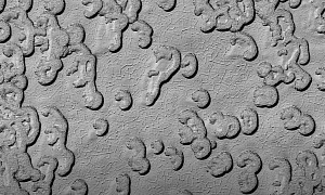 Martian Swiss Cheese Terrain Looks Like Petri Dish Cells Under a Microscope