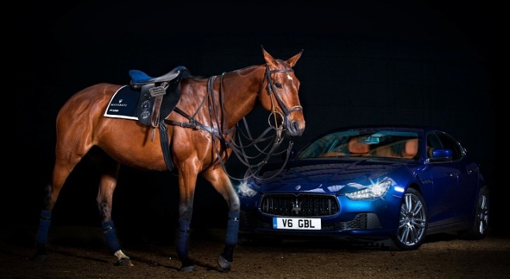 Maserati Luxury Polo Horse Saddle Is a Thing of Unique Beauty