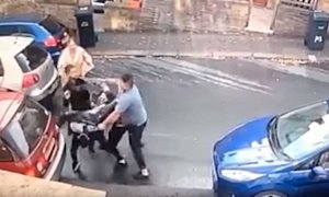 Massive Fight Breaks Out on The Street After 2-Car Crash