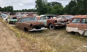 Massive Junkyard Is Home to 10,000 Classic Cars, Rare Gems Included