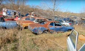 Massive Kansas Junkyard Hides Muscle Cars and Rare Classics