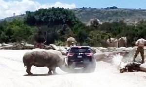 Massive Rhino Attacks SUV in Mexico Safari Park, Won’t Give Up
