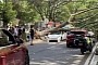 Massive Tree Falls Onto Tesla Model 3 Glass Roof, Driver Walks Away Uninjured