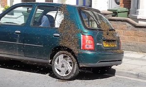 Nissan Micra Gets Swarmed by 20,000 Bees