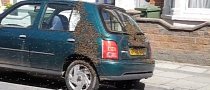 Nissan Micra Gets Swarmed by 20,000 Bees