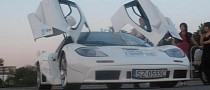 McLaren F1 Replica Home-Built From Scratch Suits Owner Better Than the Real Thing