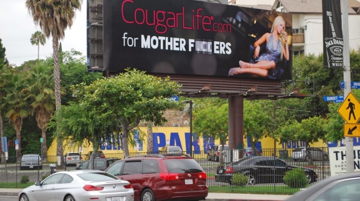 Cougar billboard